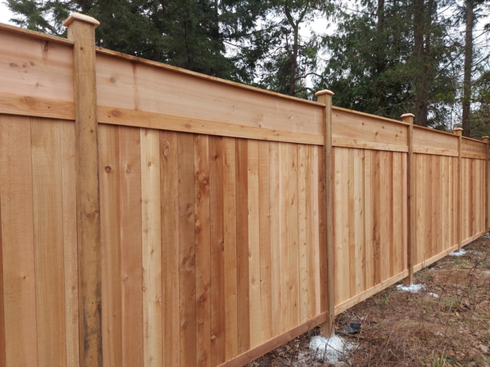 Cedar Fence