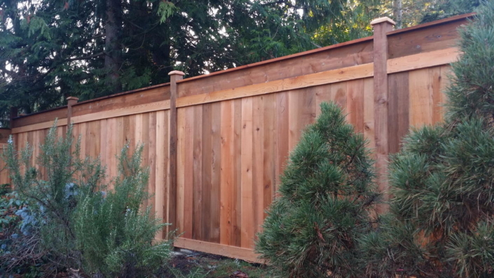 Cedar Fence