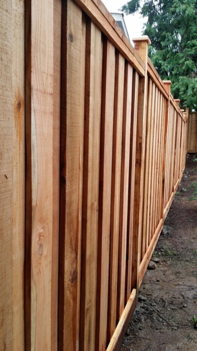 Cedar Fence