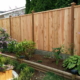 Cedar Fence