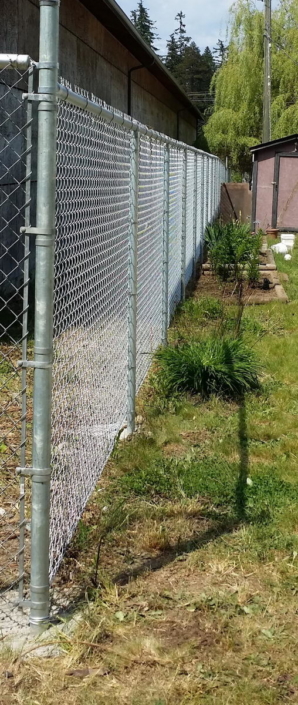 Chainlink Fencing