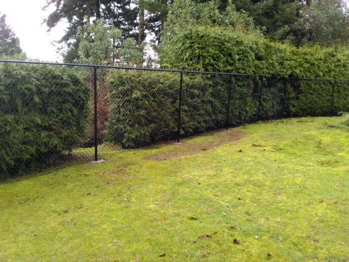 Chainlink Fencing