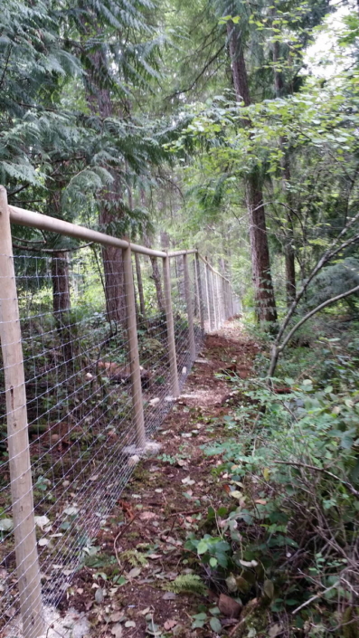 Deer Fence