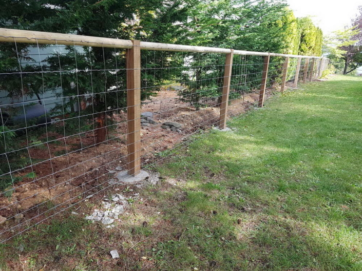 Wire Fencing